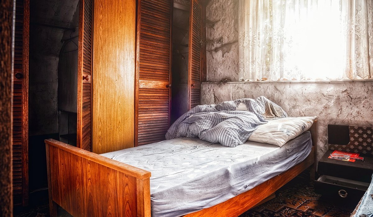 How to Keep a Tidy Home with Pets